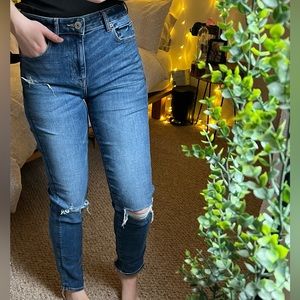 American Eagle High Rise Skinny Jean